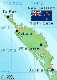 nz_tepaki